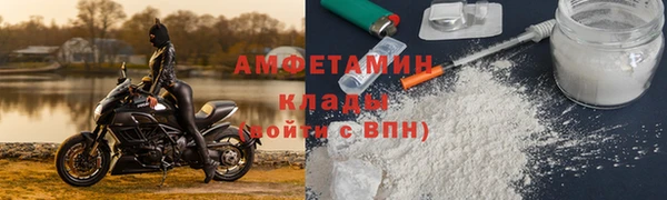 сатива Беломорск