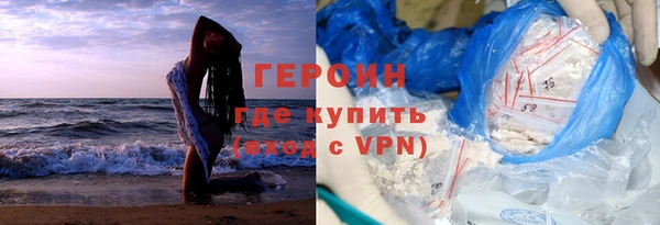 сатива Беломорск